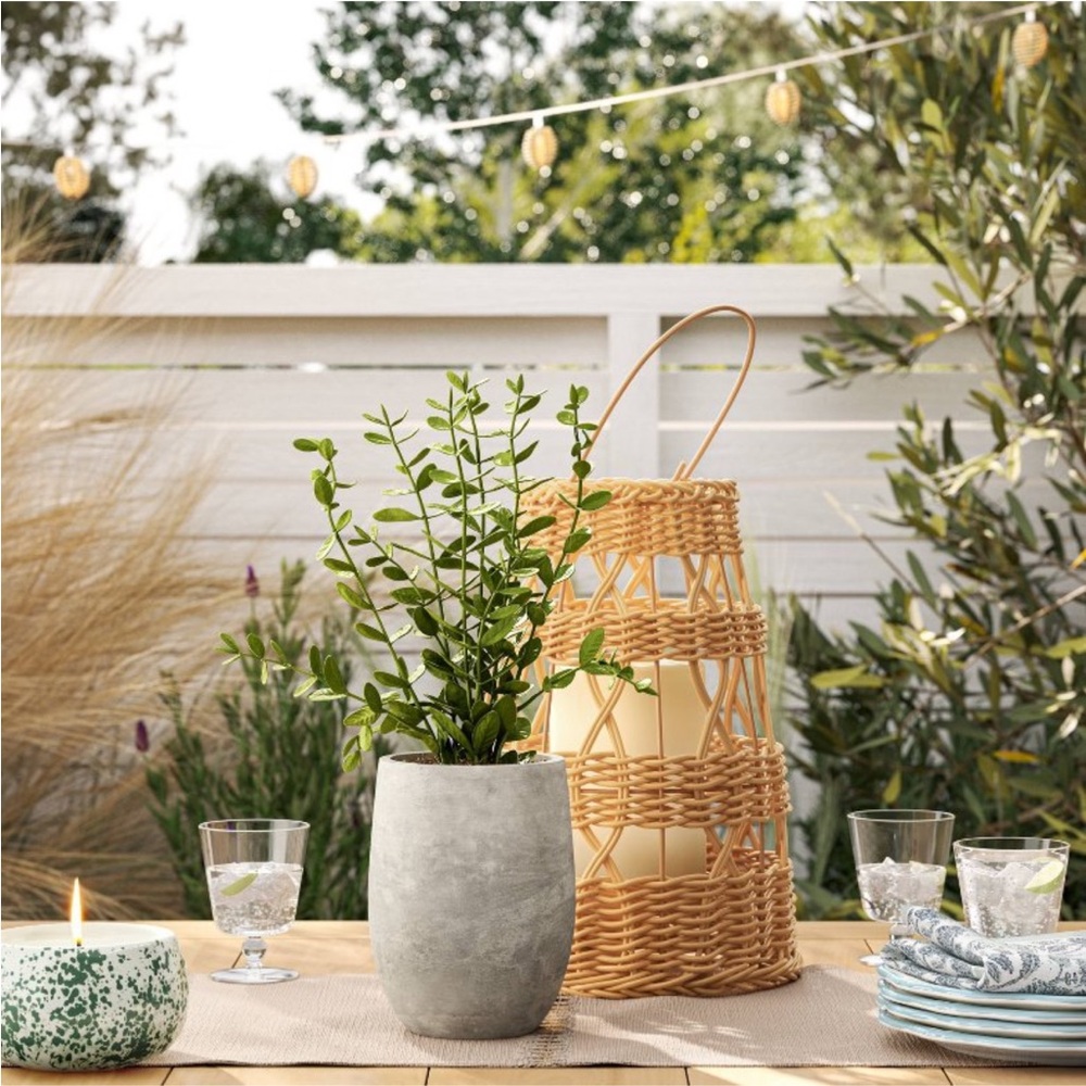 STUDIO MCGEE NWT indoor/outdoor privet faux plant in cement pot -14” - Picture 2 of 7
